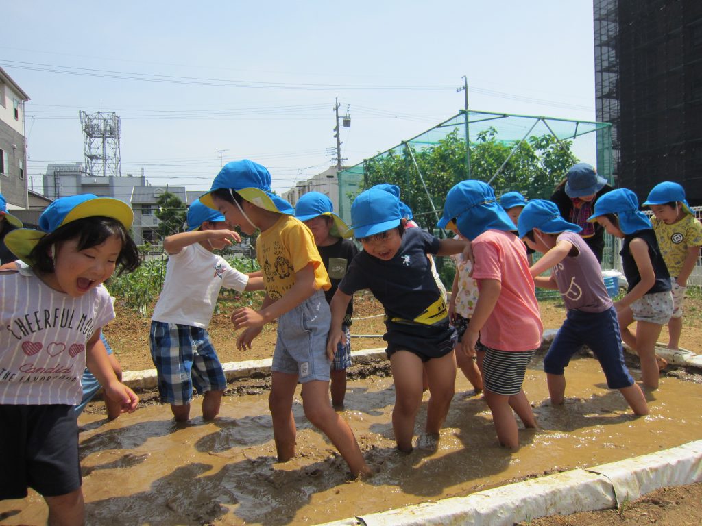 泥んこ遊び 葵ヶ丘保育園 浜松市中区高丘の保育園