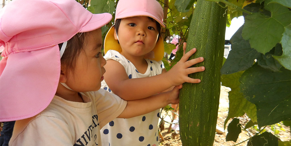 葵ヶ丘こども園スライドショー③